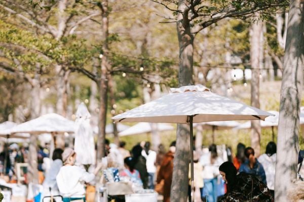 追聲音樂祭登場！全感官盛宴引爆新北市美術館園區